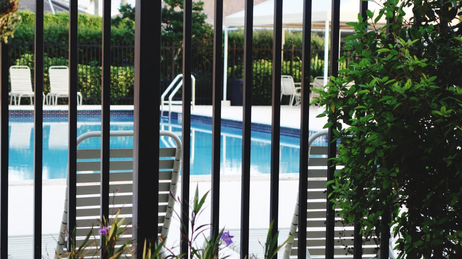 Pool Fence